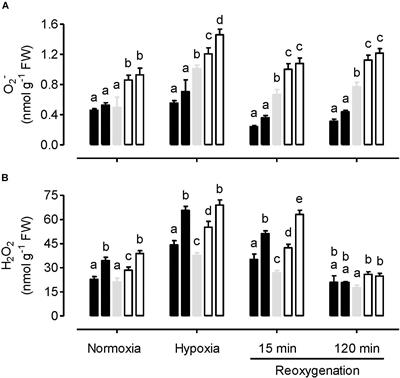 Roles for Plant Mitochondrial Alternative Oxidase Under Normoxia, Hypoxia, and Reoxygenation Conditions